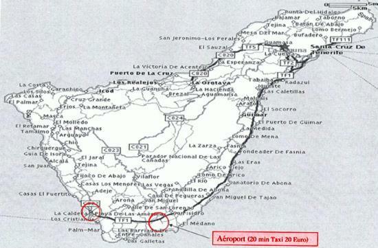 Las Terassas- Playa De Las Americas - Tenerife- Espagne 외부 사진